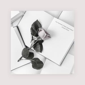 免费看无码网站成人A片
